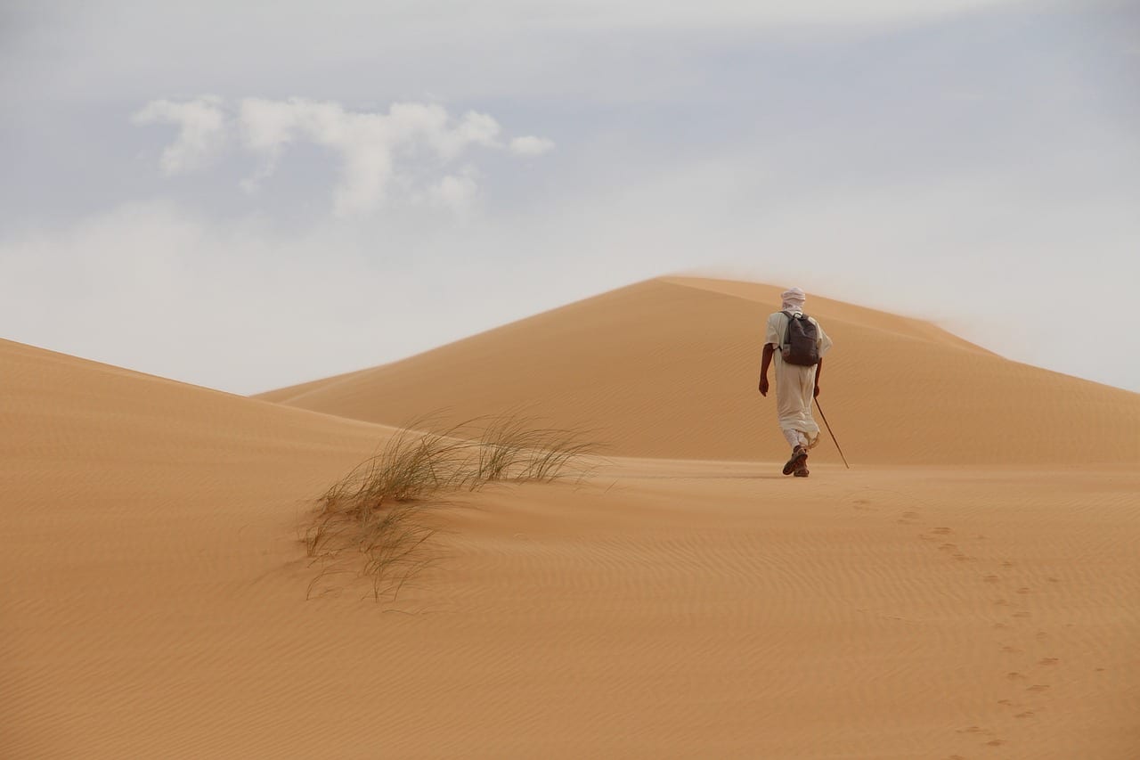 quand voyager mauritanie