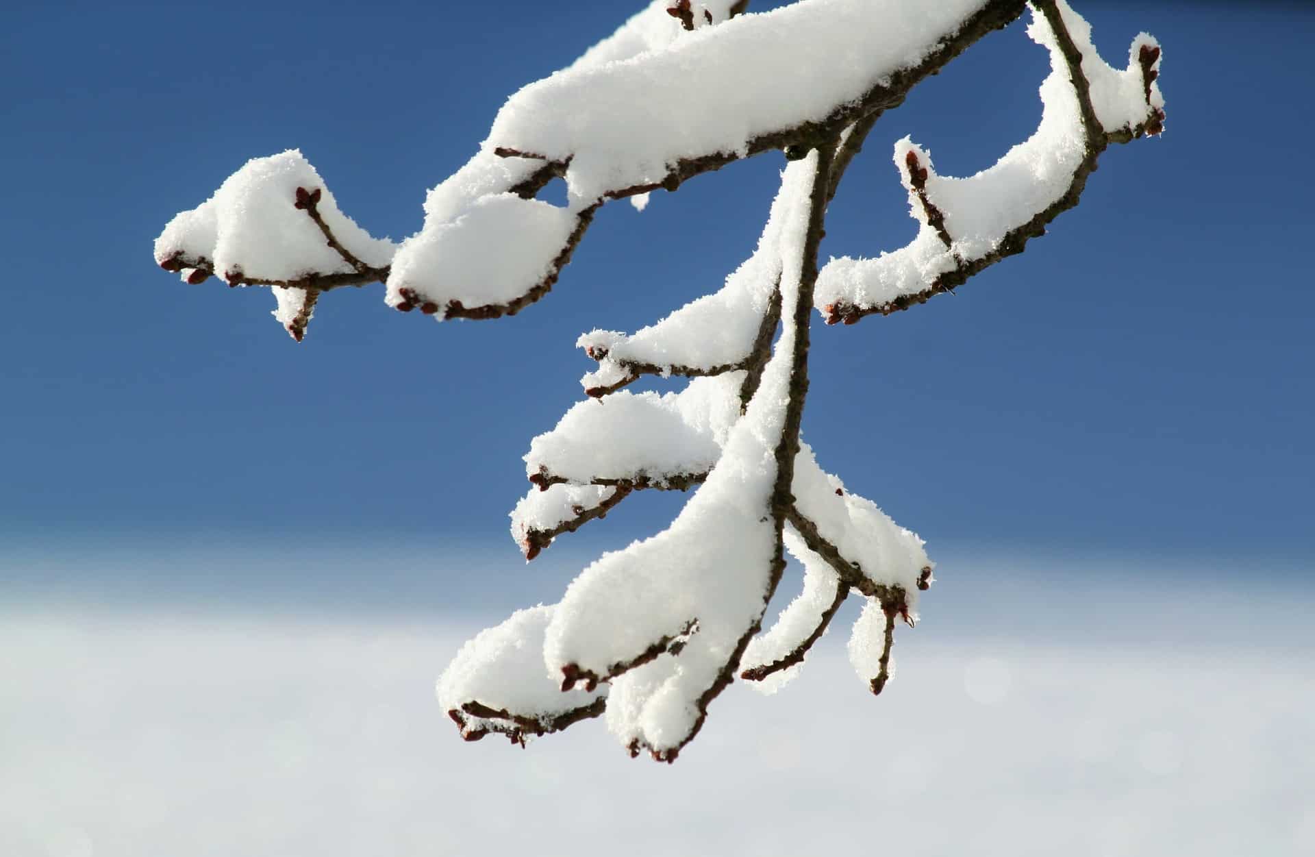 landes hiver activités